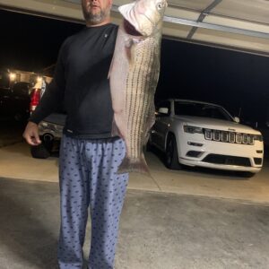 Striper Addiction Beaver Lake Guide Service, serving Northwest Arkansas with professional & affordable striper fishing charters on Beaver Lake Striper Addiction Beaver Lake Guide Service, serving Northwest Arkansas with professional & affordable striper fishing charters on Beaver Lake