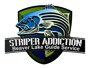 striper addiction beaver lake guide service, serving Northwest Arkansas with professional striper fishing charters